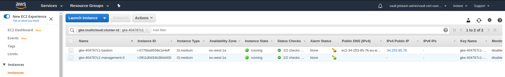 Management cluster instances