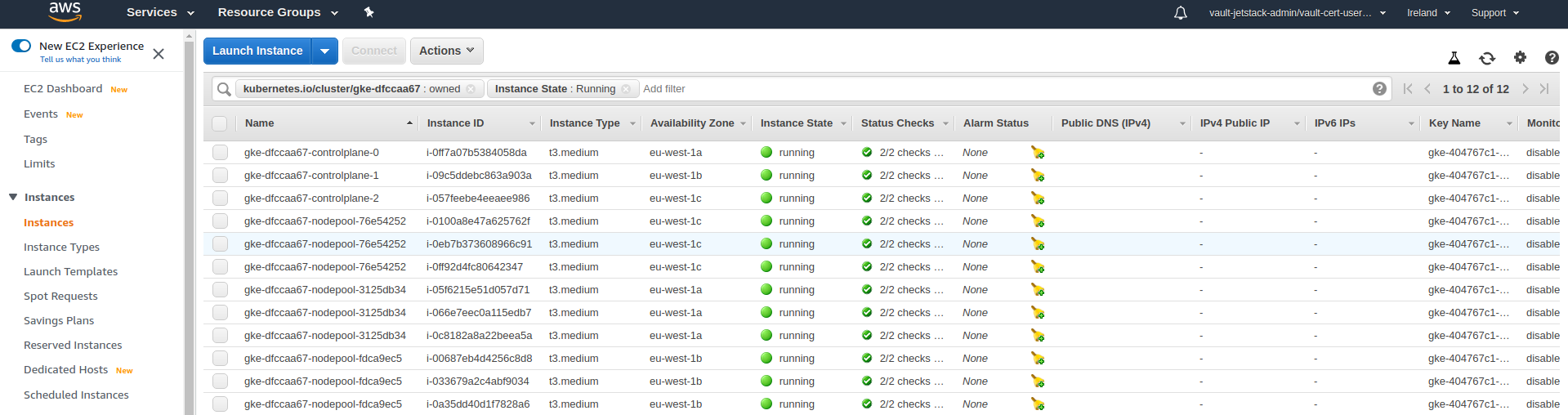 User cluster instances